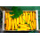 SAFLAX  - Ziucchini - Gold Rush - Cucurbita - 5 Samen 6