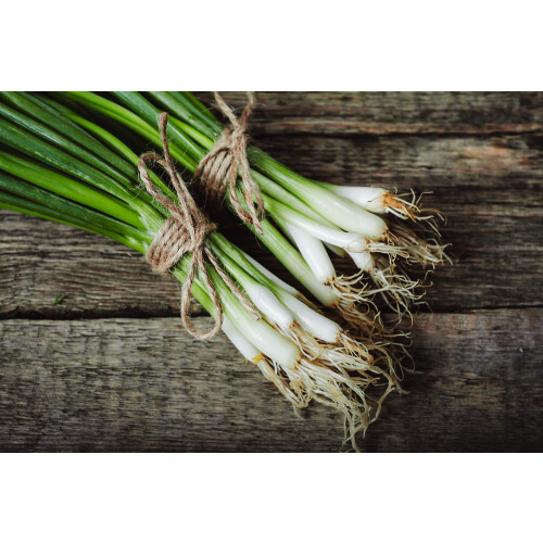 SAFLAX  - BIO - Ciboule - Ishikura - 150 graines - Allium 1