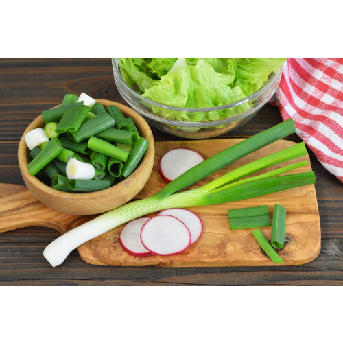 SAFLAX  - BIO - Ciboule - Ishikura - 150 graines - Allium 2