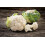 SAFLAX  - Blumenkohl - Schneeball - Brassica - 70 Samen 3