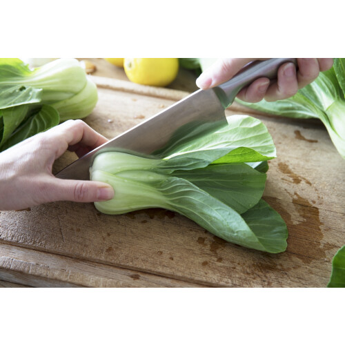SAFLAX  - BIO - Bok choy - 300 graines - Brassica 2