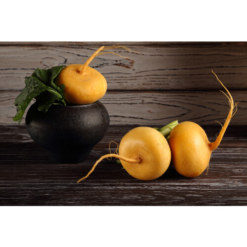 SAFLAX  - Rübe - Goldana - Brassica - 500 Samen 2