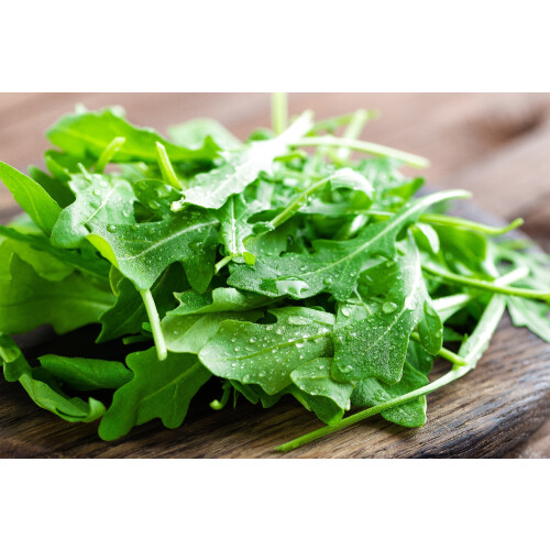 SAFLAX - BIO - Rucola - 3000 semi - Eruca 2