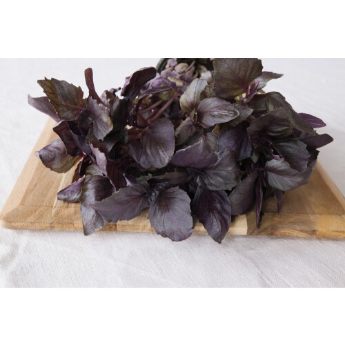 SAFLAX  - Rotes Basilikum - Ocimum - 400 Samen 2