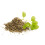 SAFLAX  - Majoran - Origanum - 700 Samen 2