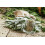 SAFLAX  - Salbei - Salvia - 60 Samen 7
