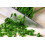 SAFLAX  - Schnittlauch - Allium - 250 Samen 5