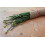 SAFLAX  - Schnittknoblauch - Allium - 100 Samen 2