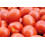 SAFLAX  - Tomate - Borghese - Solanum - 10 Samen - Mit Substrat 7
