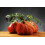 SAFLAX  - Tomate - Ochsenherz - Solanum - 10 Samen - Mit Substrat 6