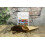 SAFLAX  - Lampenputzer - Callistemon - 400 Samen - Mit Substrat 2