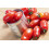 SAFLAX  - Tomate - Roma - Solanum - 15 Samen - Mit Substrat 3
