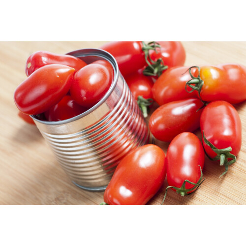 SAFLAX  - Tomate - Roma - Solanum - 15 Samen - Mit Substrat 2