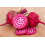 SAFLAX  - BIO - Betterave - De Chioggia - 70 graines - Avec substrat - Beta 6