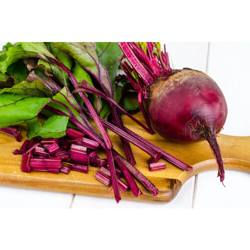 SAFLAX  - BIO - Betterave - De Chioggia - 70 graines - Avec substrat - Beta 2