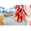SAFLAX  - Chili – Cayenne - Capsicum - 10 Samen - Mit Substrat 8