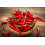 SAFLAX  - Chili – Cayenne - Capsicum - 10 Samen - Mit Substrat 6