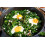SAFLAX  - Grünkohl – Winter - Brassica - 70 Samen - Mit Substrat 8