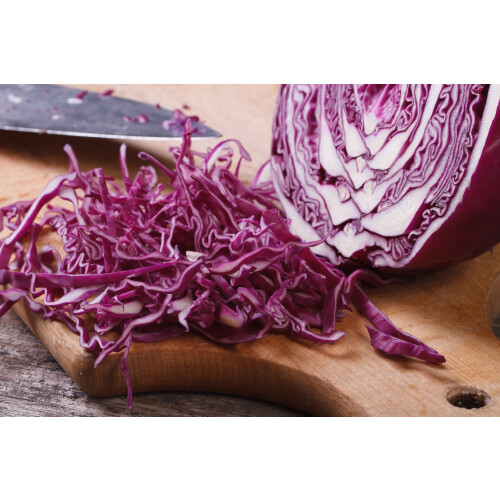SAFLAX  - Rotkohl – Drumhead - Brassica - 250 Samen - Mit Substrat 2