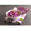 SAFLAX  - Rotkohl – Drumhead - Brassica - 250 Samen - Mit Substrat 8