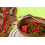 SAFLAX  - BIO - Rhubarbe - 50 graines - Avec substrat - Beta 5