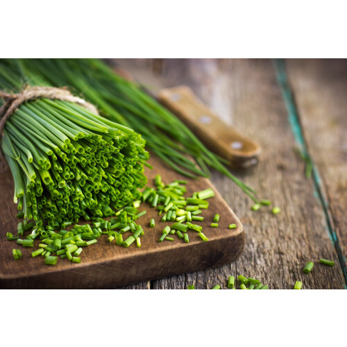 SAFLAX  - BIO - Ciboulette - 250 graines - Avec substrat - Allium 2