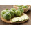SAFLAX  - Zucchini - Tondo di Nizza - Cucurbita - 5 Samen 2