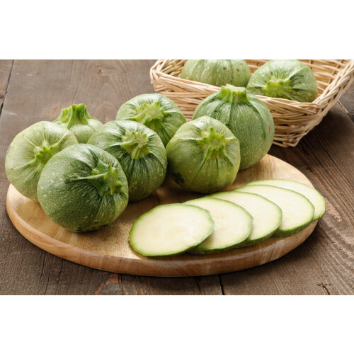 SAFLAX  - Zucchini - Tondo di Nizza - Cucurbita - 5 Samen 1