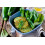 SAFLAX  - Zucchini - Nero di Milano - Cucurbita - 6 Samen 6