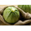 SAFLAX  - Zucchini - Tondo di Nizza - Cucurbita - 5 Samen 6
