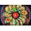 SAFLAX  - Zucchini - Nero di Milano - Cucurbita - 6 Samen 7