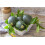 SAFLAX  - Zucchini - Tondo di Nizza - Cucurbita - 5 Samen 4