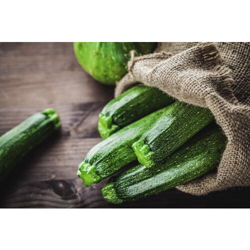 SAFLAX  - Zucchini - Nero di Milano - Cucurbita - 6 Samen 2
