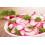 SAFLAX Anzucht Set - Radieschen - French Breakfast - Raphanus - 150 Samen 6