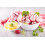 SAFLAX Anzucht Set - Radieschen - French Breakfast - Raphanus - 150 Samen 8