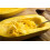 SAFLAX Anzucht Set - Kürbis - Spaghetti - Cucurbita - 5 Samen 8