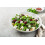 SAFLAX Anzucht Set - Ruccola - Eruca - 3000 Samen 7