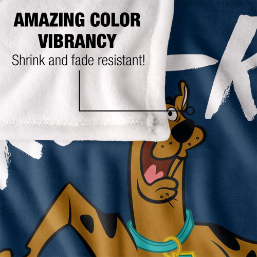 Scooby Doo Scooby Doo Ruh Roh Blanket 2