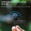 Lavalier Microphone for Insta360 X4 Sport Camera Recording Mic TypeC Interface 4