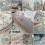 50 Pieces Cotton Fabric Fabric Packs Patchwork Fabrics 100% 9