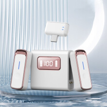 SX88 Eins-zu-zwei intelligentes Lavalier-Funkmikrofon mit Rauschunterdrückung, Spezifikationen: Typ C (Roségold) - Typ C