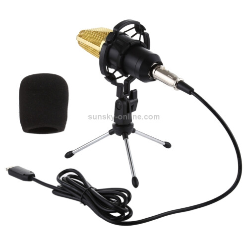 BM-700 USB Professionelles Kondensatormikrofon 2