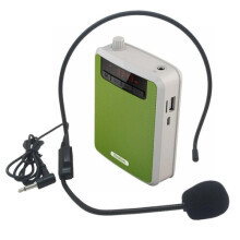 Tragbarer Verstärker Rolton K300 unterstützt FM-Radio/MP3 (Grün)