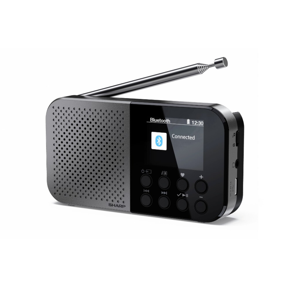 SHARP Osaka Pocket Portable Digital Radio DAB+ BestTune Storm Grey DR-P520(GY)
