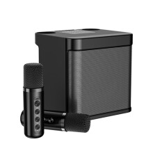 YS-203 Bluetooth-Karaoke-Lautsprecher Drahtloses Mikrofon (Farbe: Schwarz) - L202