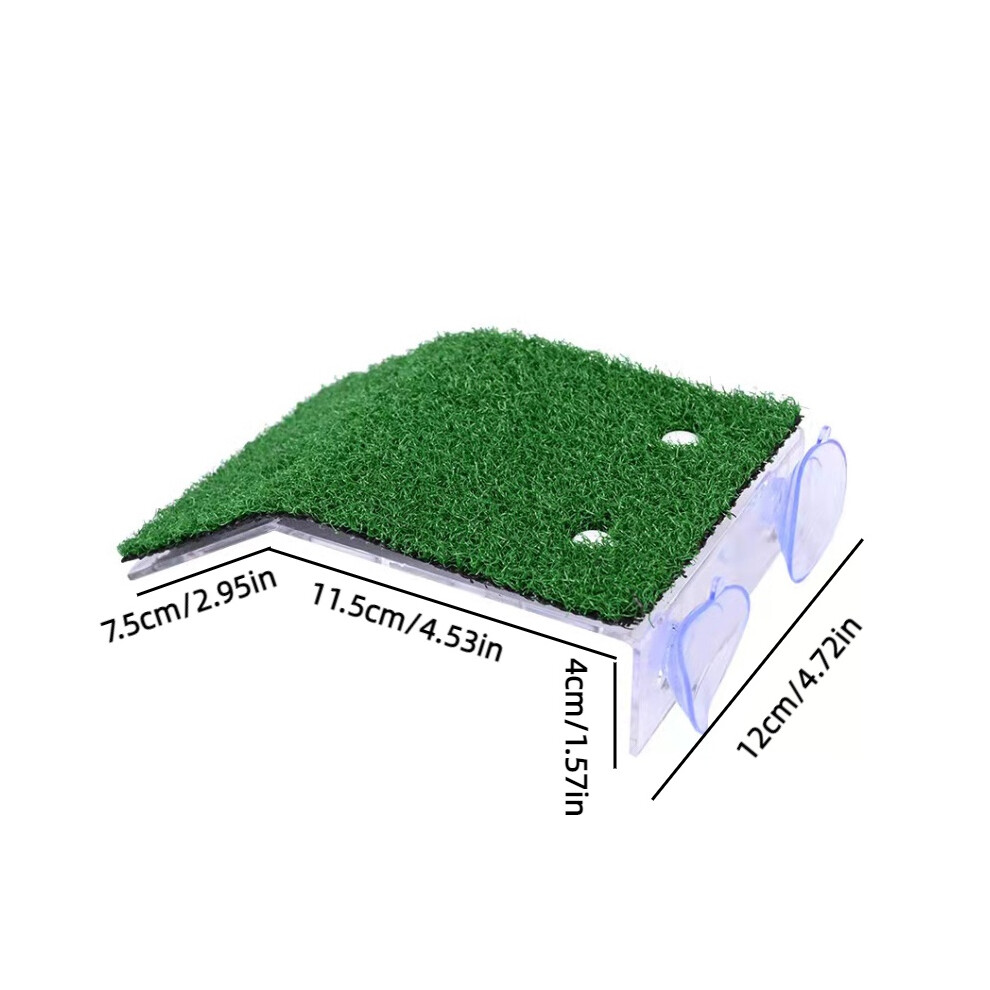 (M)Plateforme de prélèvement tortue réaliste décor mousse aquariums accessoires tasse aspiration