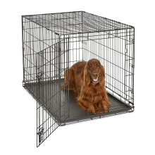 New World Newly Enhanced Single Door 106.68 cm (24-Inch) Dog Crate for Small Dog Breeds; Includes Leak-Proof Pan, Floor Protecting Feet, & New Patente