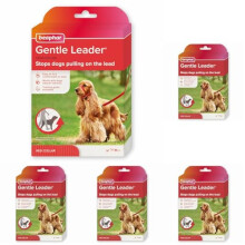 Beaphar | Gentle Leader | Head Collar for Medium Dogs | Stops Pulling On The Lead | Training Aid with Immediate Effect | Endorsed by Behaviourists | R
