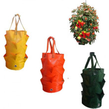 3 Pack Hanging Strawberry Planting Containers Strawberry Grow Bags