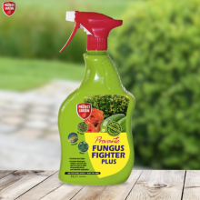 Insecticidal Soap Spray for Plants 200ml – Natural Pest Control, Ready-to-Use Indoors & Outdoors